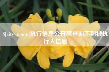 进贤执行信息公开网查询不到被执行人信息