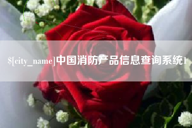 进贤中国消防产品信息查询系统1