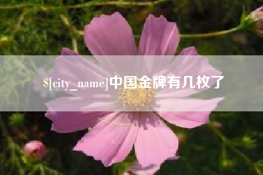 进贤中国金牌有几枚了