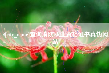 进贤查询消防职业资格证书真伪网站