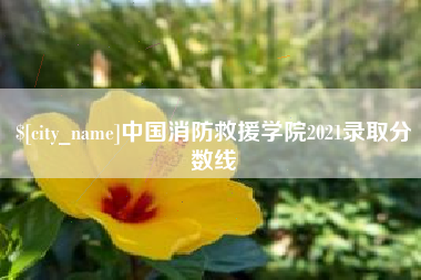 进贤中国消防救援学院2021录取分数线