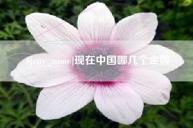进贤现在中国哪几个金牌