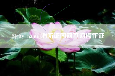 进贤消防证国网查询操作证