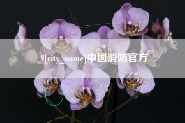 进贤中国消防官方