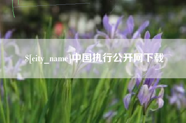 进贤中国执行公开网下载