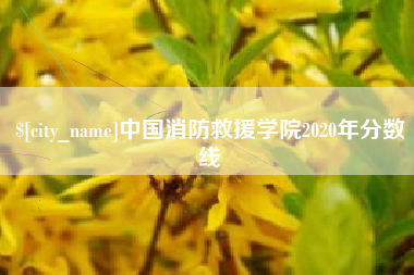 进贤中国消防救援学院2020年分数线