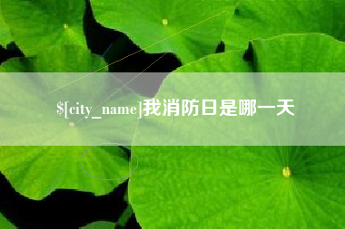 进贤我消防日是哪一天