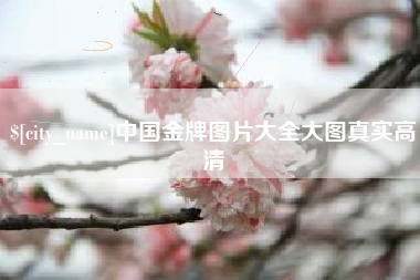 进贤中国金牌图片大全大图真实高清