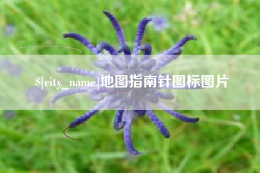 进贤地图指南针图标图片