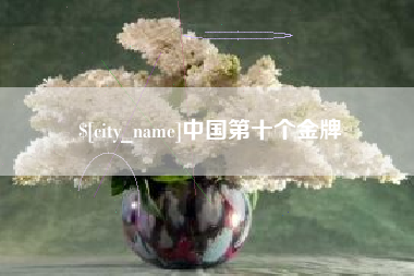 进贤中国第十个金牌