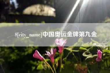 进贤中国奥运金牌第九金