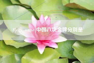 进贤中国六块金牌分别是