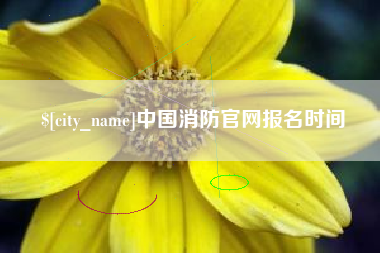 进贤中国消防官网报名时间