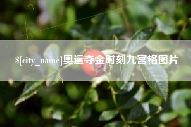 进贤奥运夺金时刻九宫格图片