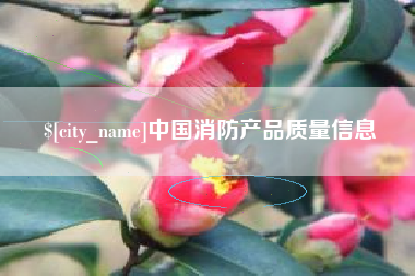 进贤中国消防产品质量信息