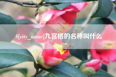 进贤九宫格的名称叫什么