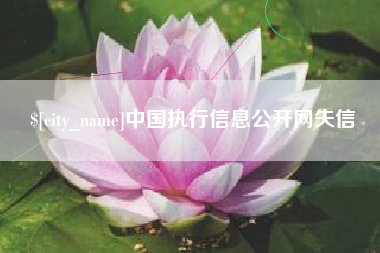 进贤中国执行信息公开网失信