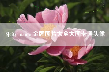 进贤金牌图片大全大图卡通头像