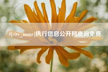 进贤执行信息公开网查询免费