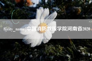 进贤中国消防救援学院河南省2020
